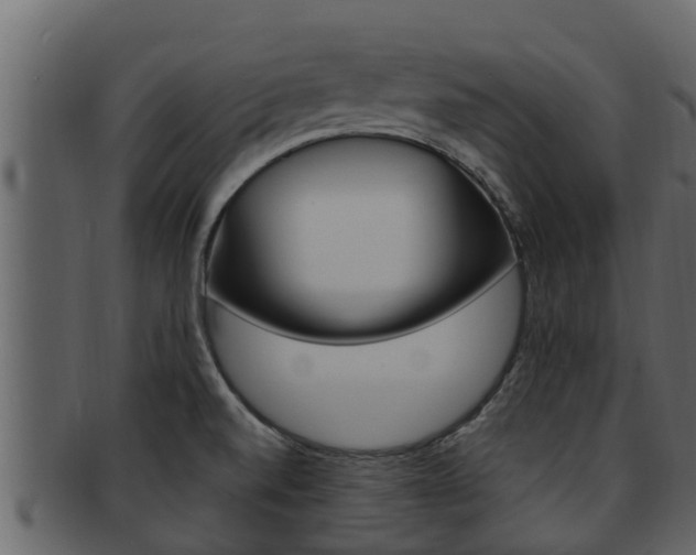 X0000093221520200709261435