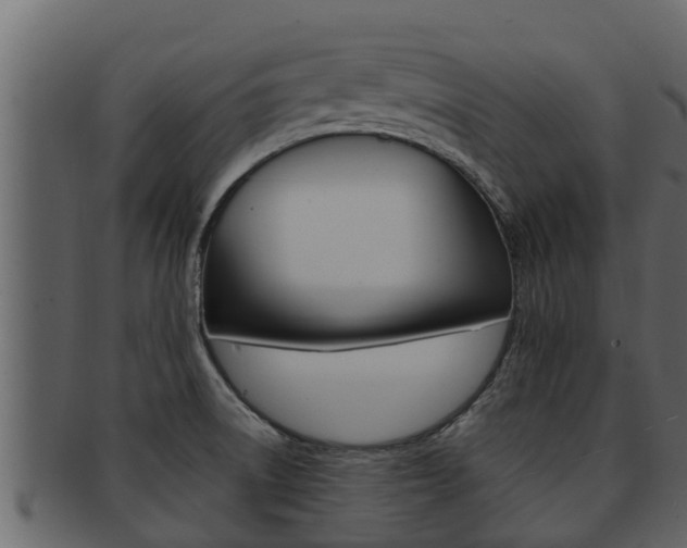 X0000093221522200709261435