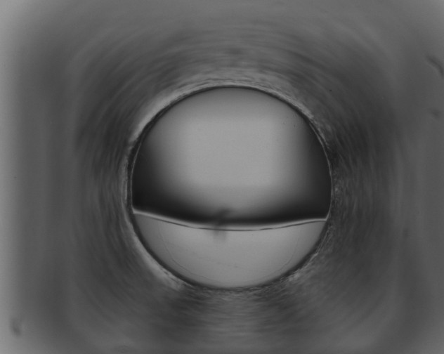 X0000093221523200709261435