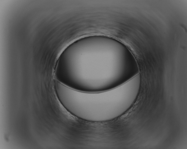 X0000093221524200709261435