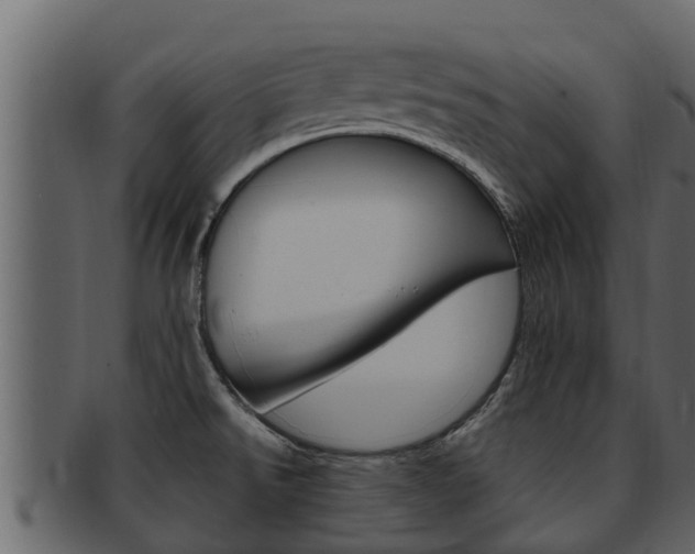 X0000093221526200709261435