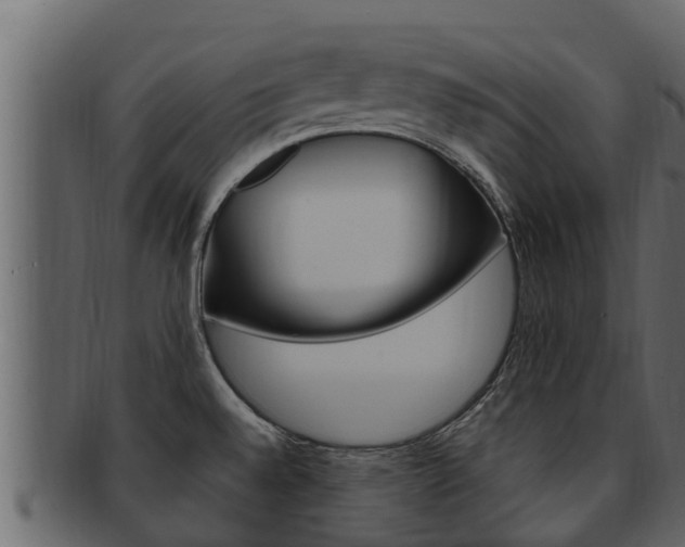 X0000093221528200709261435