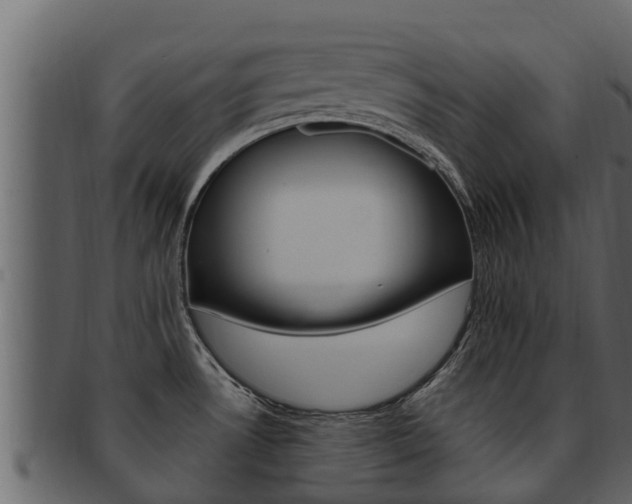 X0000093221530200709261435