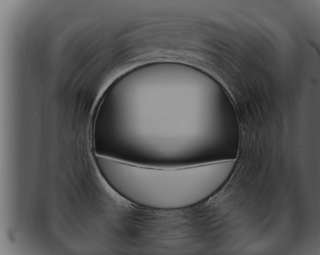X0000093221531200709261435