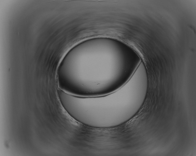 X0000093221532200709261435
