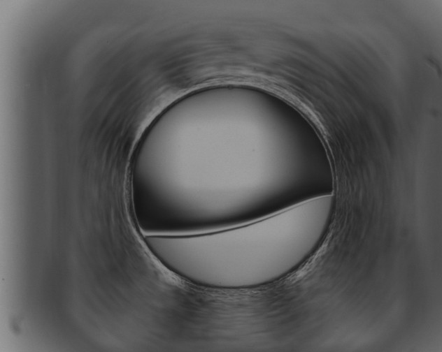 X0000093221533200709261435