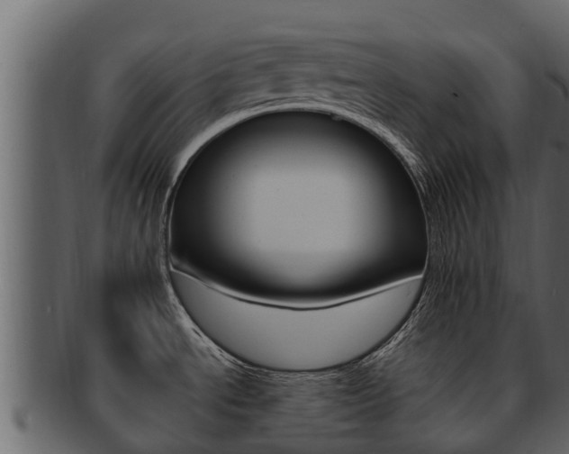 X0000093221534200709261435