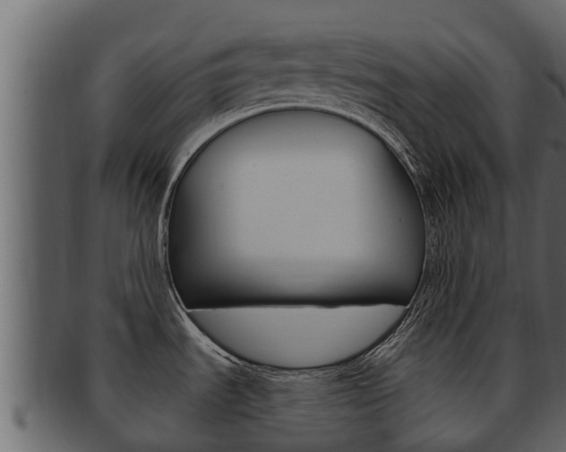 X0000093221535200709261435