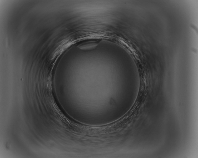 X0000093220002200709261641