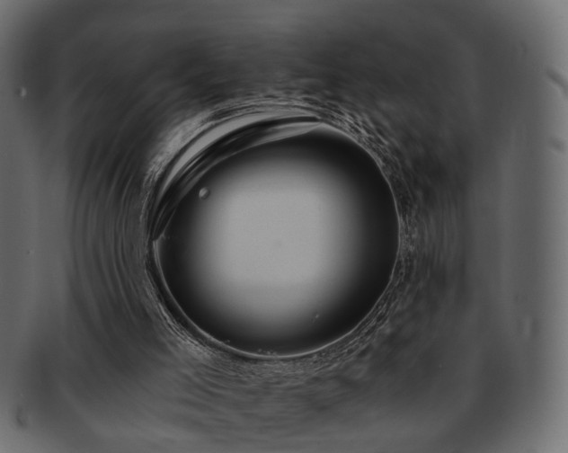 X0000093220005200709261641