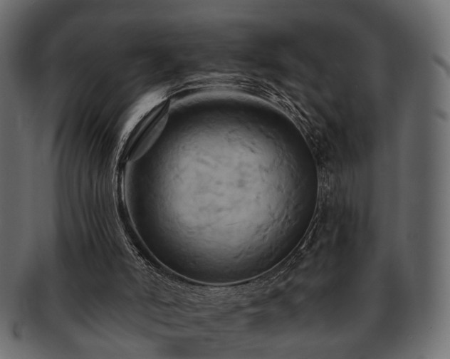 X0000093220006200709261641