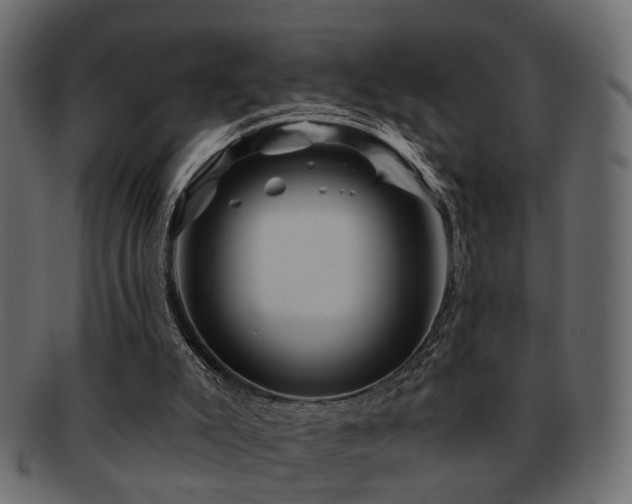 X0000093220007200709261641