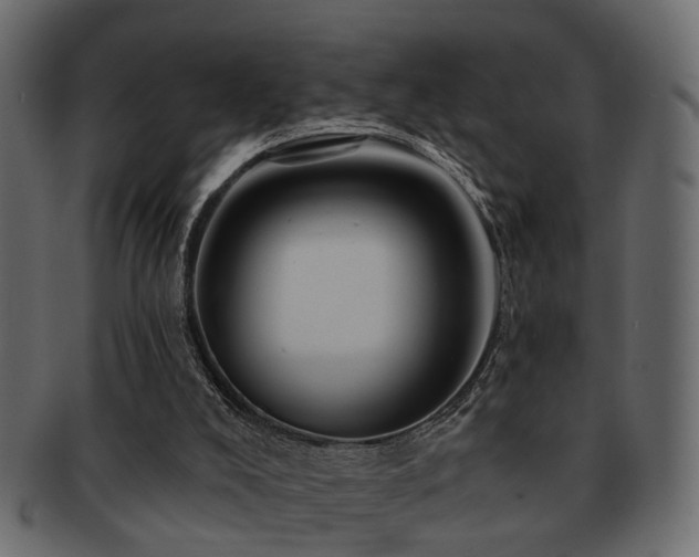 X0000093220008200709261641