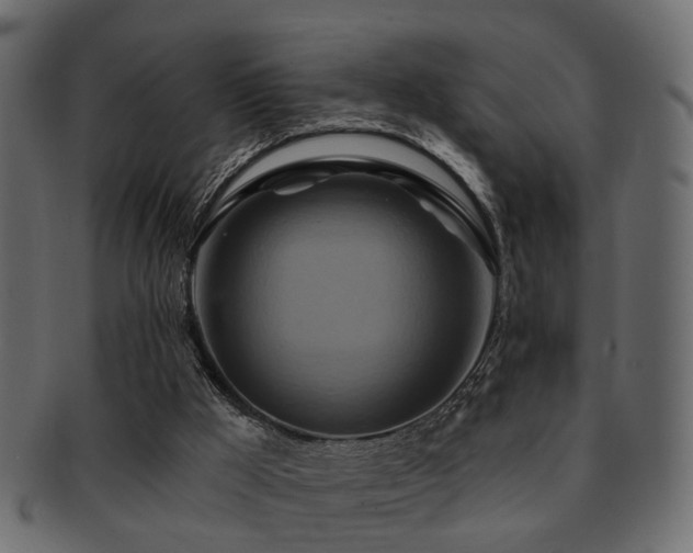 X0000093220009200709261641