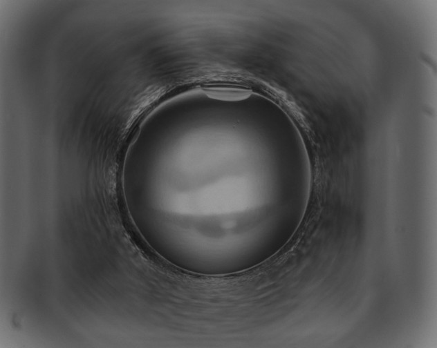 X0000093220010200709261641