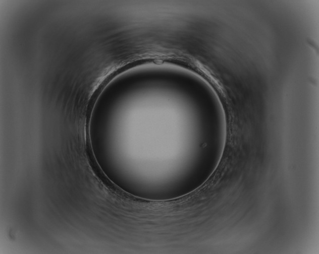 X0000093220011200709261641