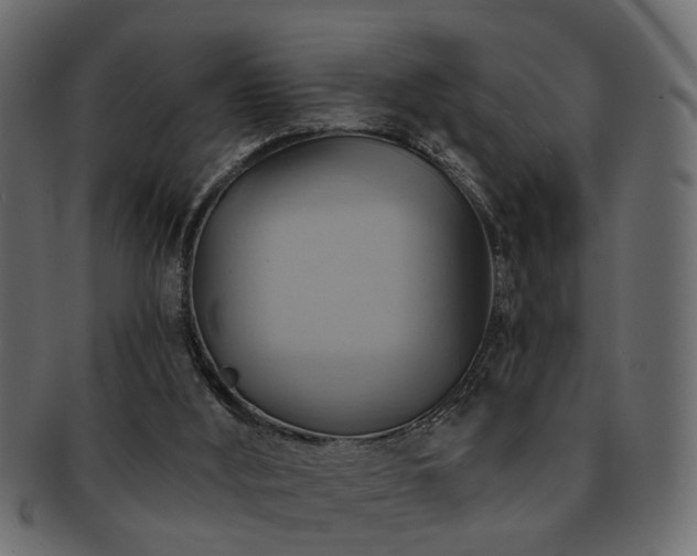 X0000093220012200709261641