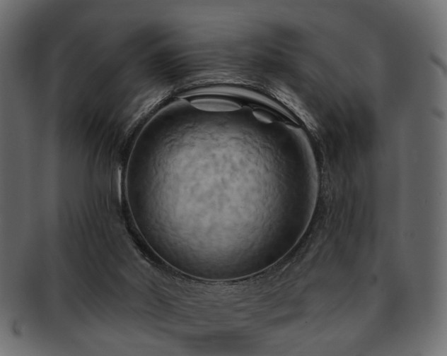 X0000093220014200709261641