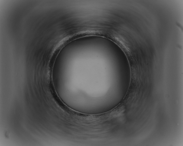 X0000093220016200709261641