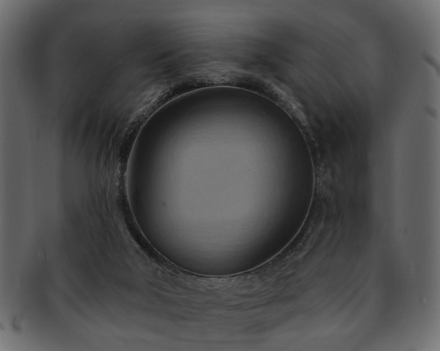 X0000093220018200709261641