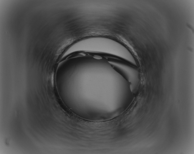 X0000093220019200709261641