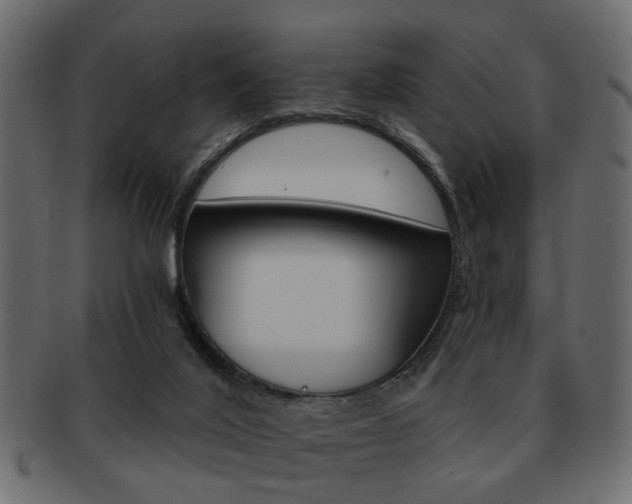 X0000093220020200709261641