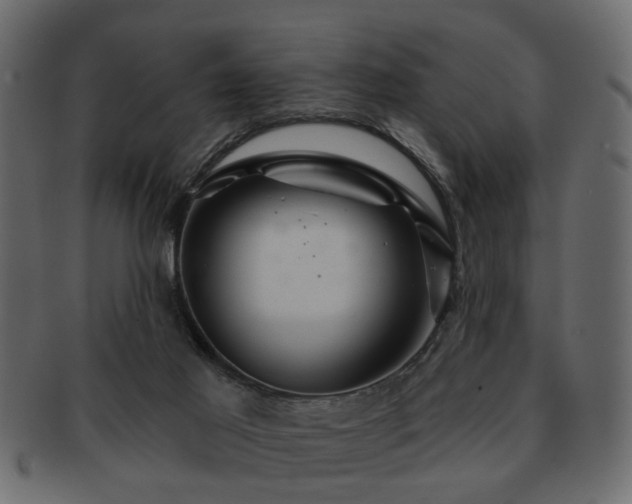 X0000093220021200709261641