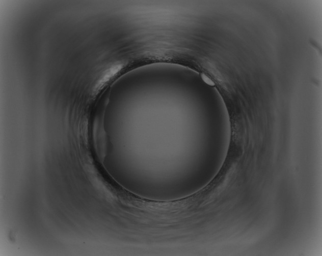 X0000093220023200709261641