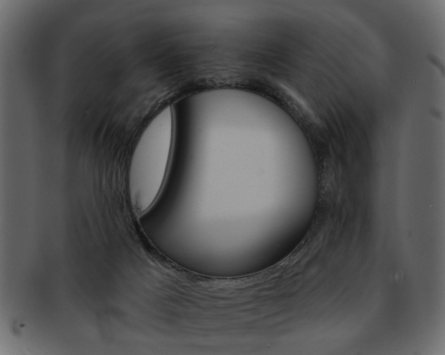 X0000093220025200709261640