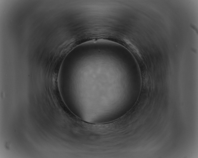 X0000093220026200709261640