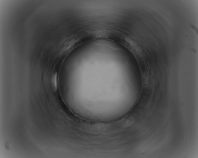 X0000093220028200709261640