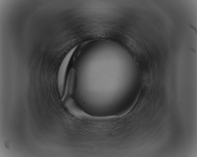 X0000093220029200709261640