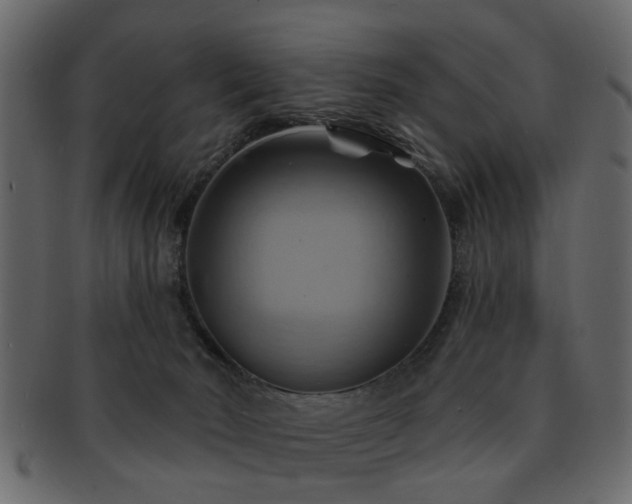 X0000093220030200709261640