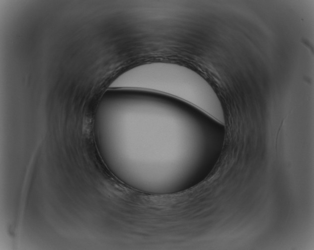 X0000093220033200709261640