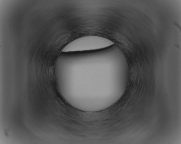 X0000093220034200709261640