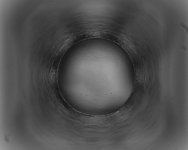 X0000093220036200709261640