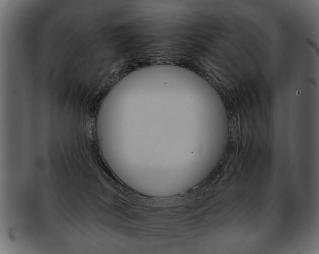 X0000093220038200709261640