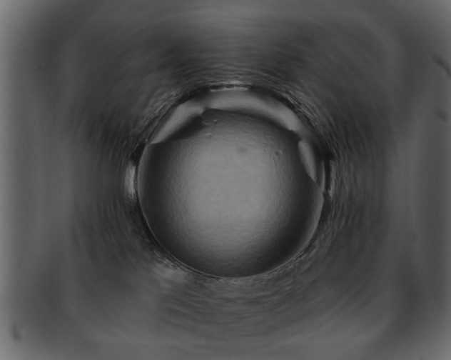 X0000093220041200709261640