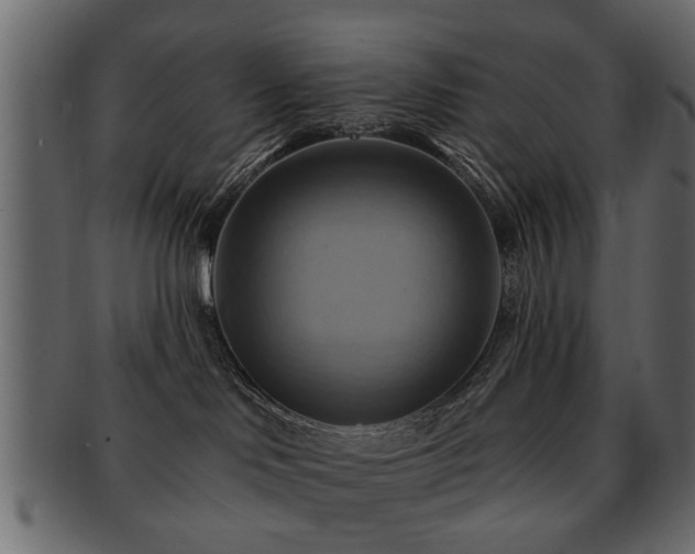 X0000093220046200709261640