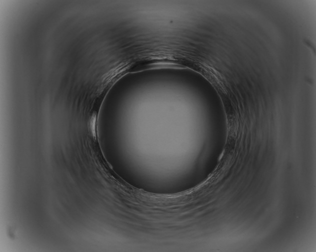 X0000093220047200709261640