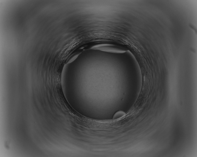 X0000093220048200709261640