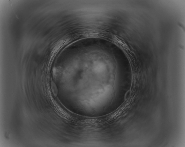 X0000093220049200709261640