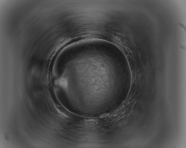 X0000093220050200709261640