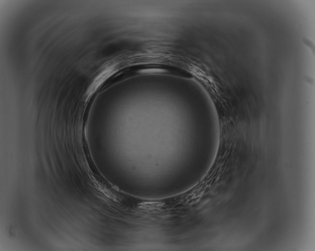 X0000093220051200709261640