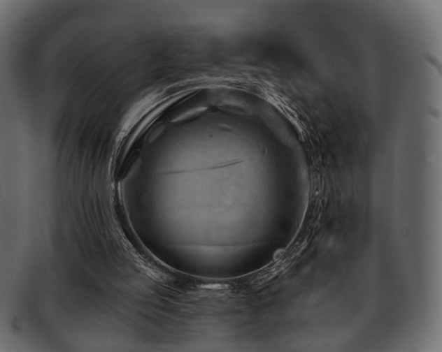 X0000093220053200709261640