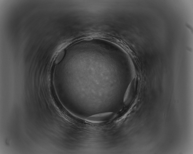 X0000093220055200709261640