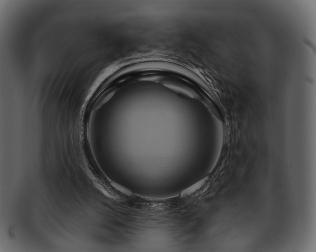 X0000093220056200709261640