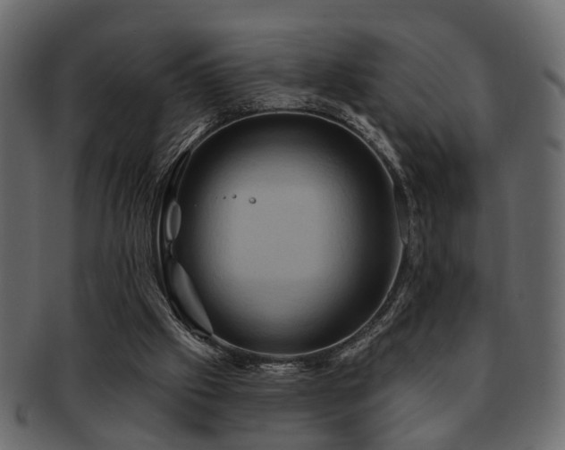 X0000093220057200709261640