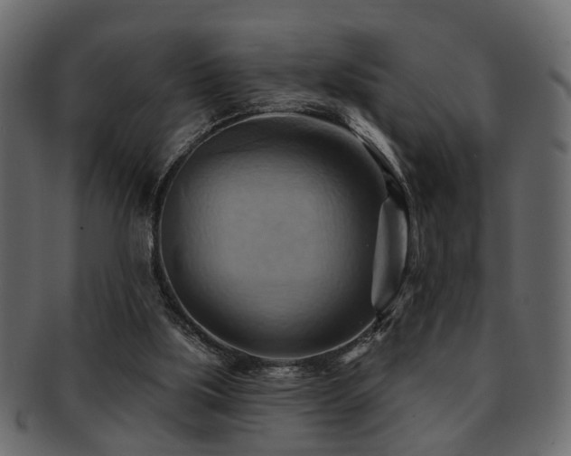 X0000093220059200709261640