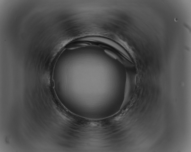 X0000093220060200709261640